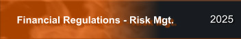2025 Financial Regulations - Risk Mgt.