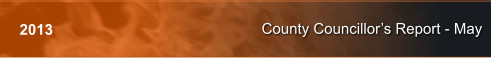 County Councillors Report - May 2013