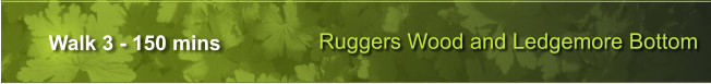 Ruggers Wood and Ledgemore Bottom Walk 3 - 150 mins